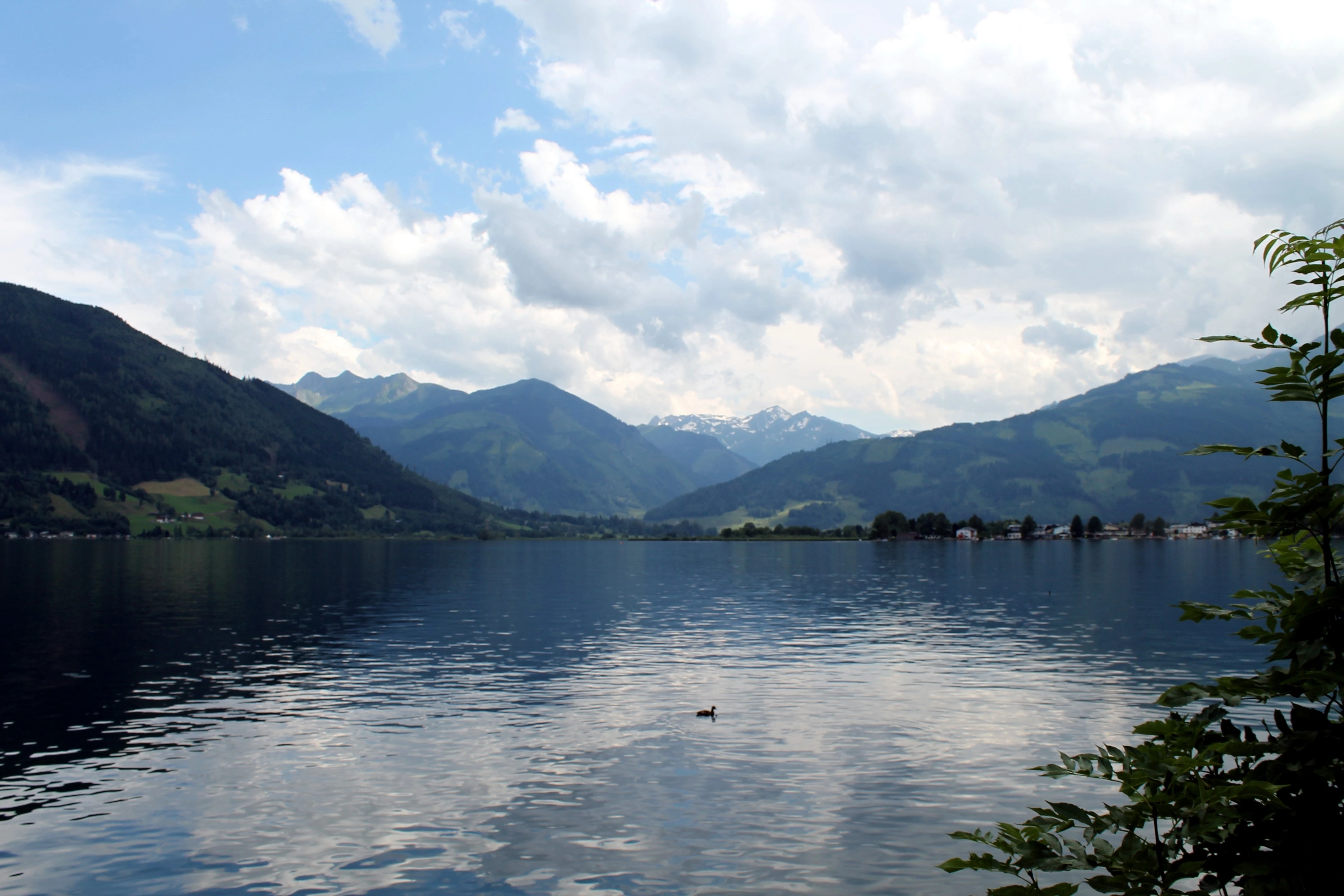Široké jezero s horami v pozadí, hladina a osamělý pták