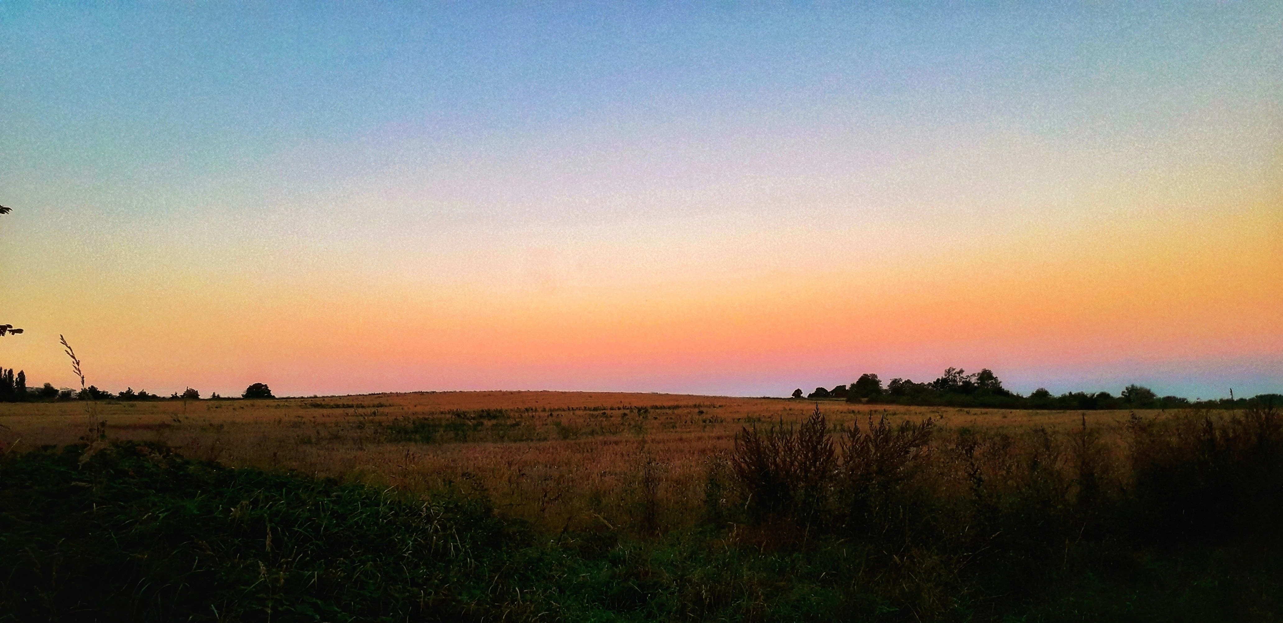 Široký úsvit nad polem – hladký gradient od oranžové k modré, klidná krajina bez lidí