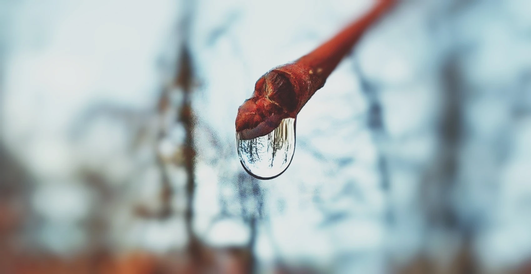 Kapka vody zavěšená na špičce větvičky