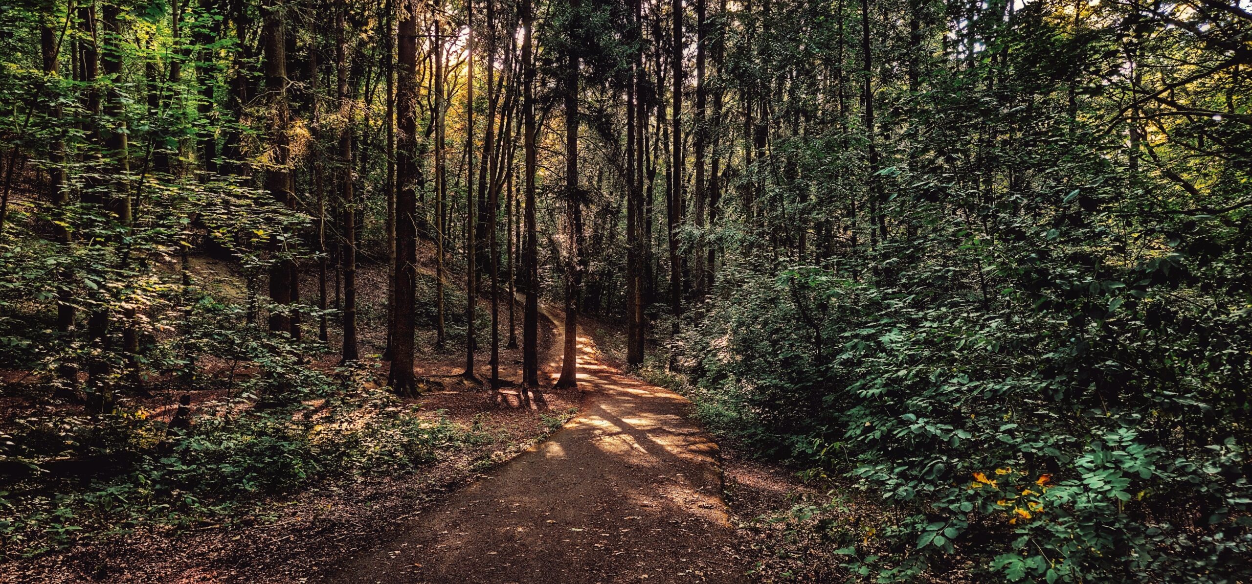 Fotopříběh – ilustrační