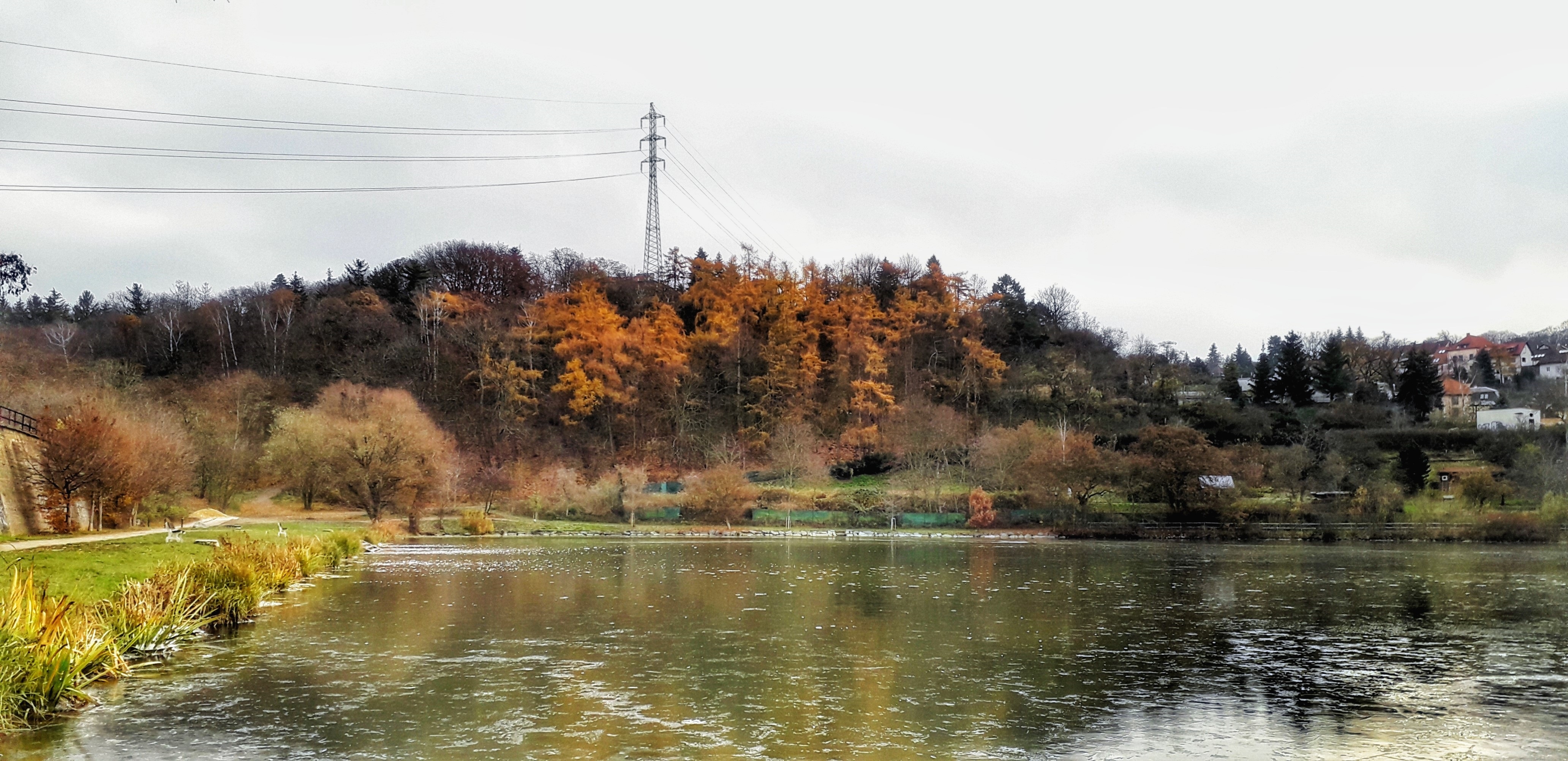 Podzimní les nad vodní plochou; oranžové jehličnany svítí proti šedé obloze